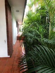 Princess Of Wales Park (D10), Semi-Detached #574920671